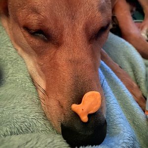 Meet your Posher, Nathan